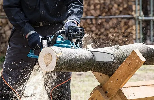 Electric Chainsaw Rebate