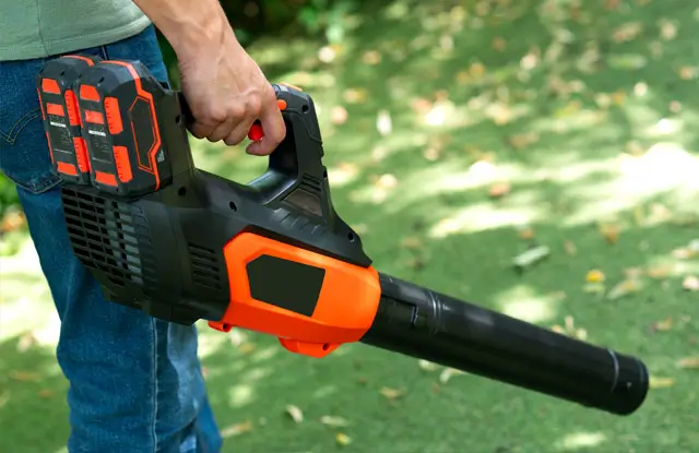 Electric Leaf Blower Rebate