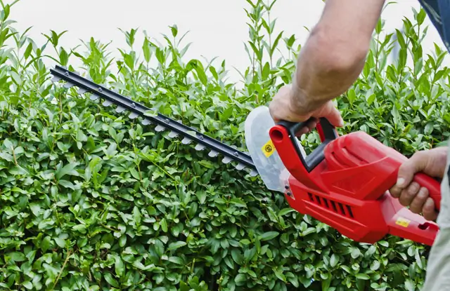 Electric Trimmer Rebate